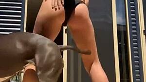 可爱美女爱为陌生人在线跳舞脱衣！