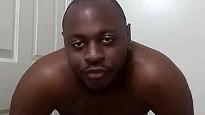 I Learned to Use the Bathroom Cleanly from My Pet Dog!