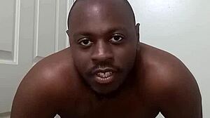 I Learned to Use the Bathroom Cleanly from My Pet Dog!