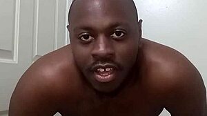 I Learned to Use the Bathroom Cleanly from My Pet Dog!