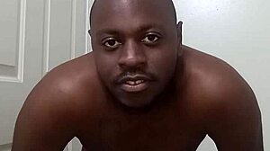 I Learned to Use the Bathroom Cleanly from My Pet Dog!