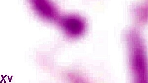 sina velvet gets 5on1 balls deep anal dap facial in lingerie