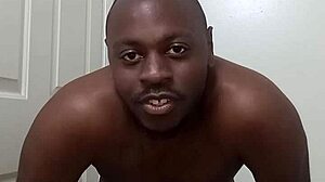 I Learned to Use the Bathroom Cleanly from My Pet Dog!