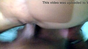 i'm cheating latina wife with bbc bull