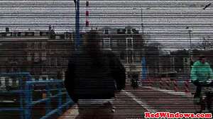 dutch hooker doggystyled until cumsprayed