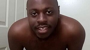 I Learned to Use the Bathroom Cleanly from My Pet Dog!