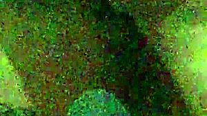 Se Cojen A Dianixhot De A Perrito Yo Grabo