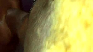 Sucking my neighbor dick part 2