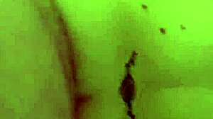 big ass babe uk flaunts her massive ass in a bold way