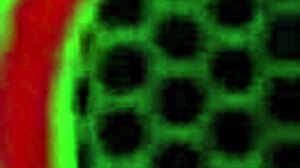 I loves this lesbian tongue fuckin duo Sara Jay