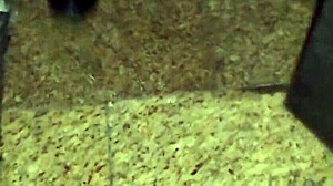 Does the Cuckold Film His Slut in the Gloryhole Booth?