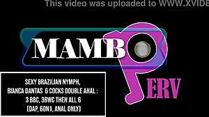 Sexy Brazilian Nymph Bianca Dantas Takes 6 Cocks Double Anal Bbc Bwc Dap Anal Only Huge Gapes Monster Cock