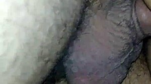 The Story of a Latina Prostitute Known as Nalgona