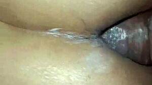 in the bedroom, a cute young indian wife screams during her first time getting her huge ass fucked hard by her husband