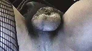 Is this ebony emo slut Tavaius Deshawn ready to get her big ass fucked by Chris Brown, her biggest fan?