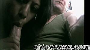 Alexis, suck my dick on the bus from Puebla to Mexico City?