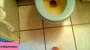 Stay at my feet while i piss my toilet dog