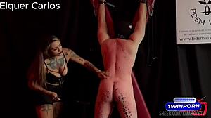 Feel The Whip As I Dominate My Slave