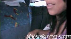 Alexis, suck my dick on the bus from Puebla to Mexico City?