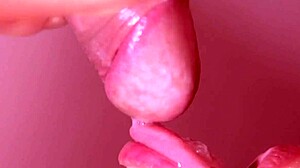 My step brother returns home. Step sister gives amateur blowjob!