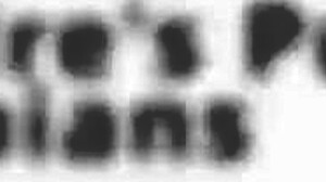 Channy crossfires pussy gets fucked by lesbians