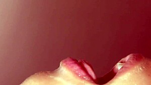 Close up amateur blowjob with cum in mouth japanese love porn story