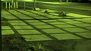 i pulled this teen babe tied up for a rough cock ride