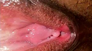 My babysitter turns into a wild fuck session