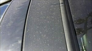 Starla sucks dick while getting boned deep in her ass