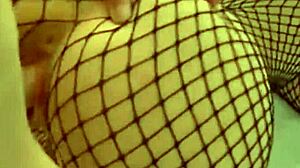 hermoso coño labios gordos