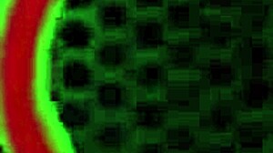 i'm rimming her big ass so deep, but i messed up the words and said something wrong