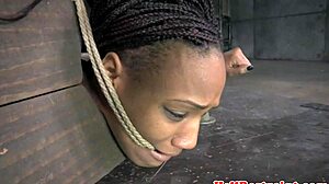 Bound ebony woman restrained in pillory receives discipline