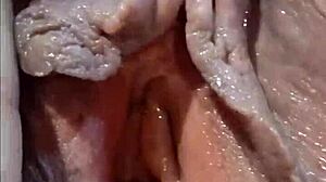 bbw熟女阴户彻底毁灭