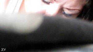 korean demonstrates excellent knowledge in asian culture