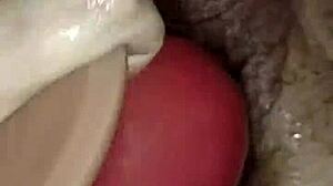 bbw熟女阴户彻底毁灭