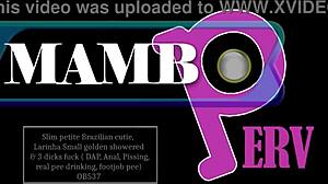 slim petite brazilian cutie larinha golden showered dap anal dry version