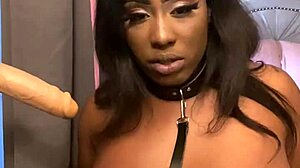 Lexo butterflys sucks that cock off the wall