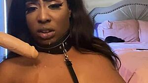 Lexo butterflys sucks that cock off the wall