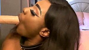 Lexo butterflys sucks that cock off the wall