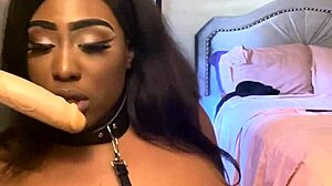 Lexo butterflys sucks that cock off the wall