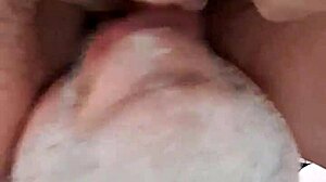 Lecco La Figa Alla Mia Amante Mentre A Lorgasmo Poi Gli Sborro In Faccia