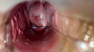 Amateur close-up homemade vaginal orgasm