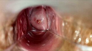 Amateur close-up homemade vaginal orgasm