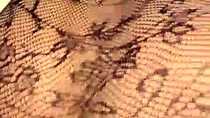 Doggy style with big ass in lingerie