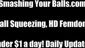 the mistress delivers a hardcore ballbusting to her slave