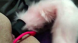 Chubby fox gets double penetration. Anal action intensifies