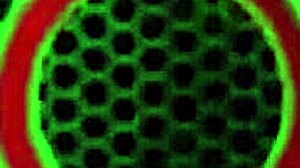 Miles Long Fingers Arielle Aquinas To Orgasm