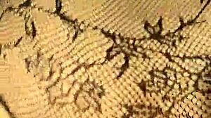 Doggy style with big ass in lingerie