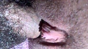 Con Hàng Hơi Ít Nước, Oh Wow!