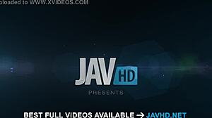 Asian Japanese Jav Model Miria Hazuki In Action